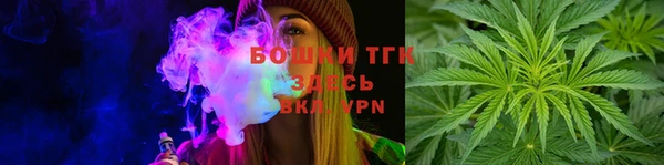 тгк Аркадак