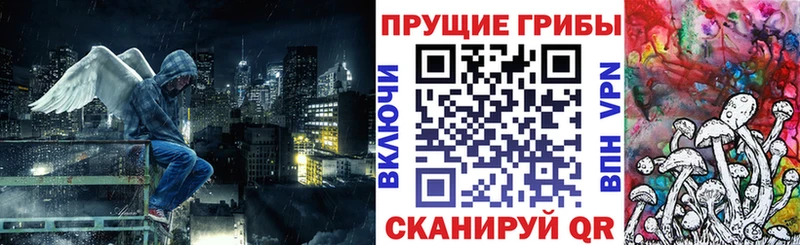 Псилоцибиновые грибы Cubensis  Купить  Урень 