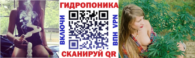 Бошки Шишки ГИДРОПОН  Купить где  Урень 